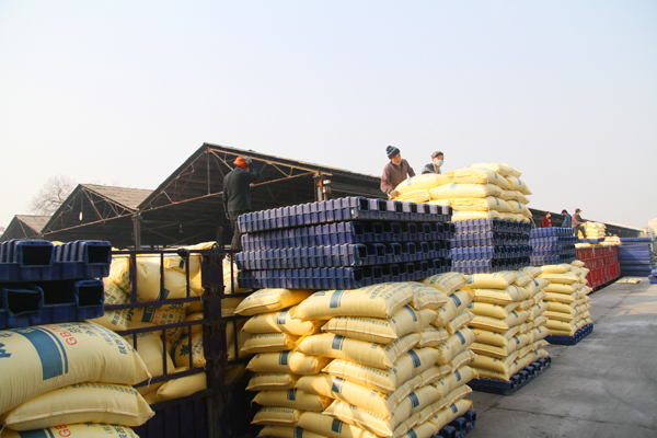 1582622980362665.jpeg 005  IMG_1011.JPG