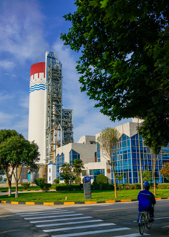 1686528445948909.jpeg 001  001.jpg