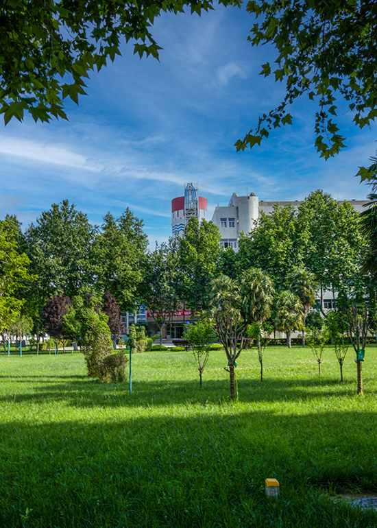 1686528471244816.jpeg 003   003.jpg