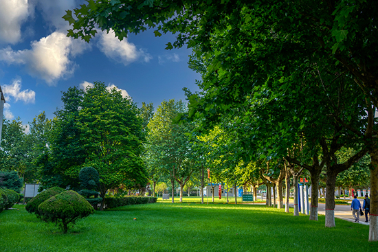 1686528517296746.jpeg 004   004.jpg