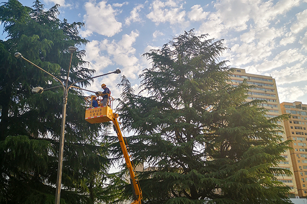 1688305834591763.jpeg 190d6972ff8881135ed2b0c59efe2f3   600.jpg