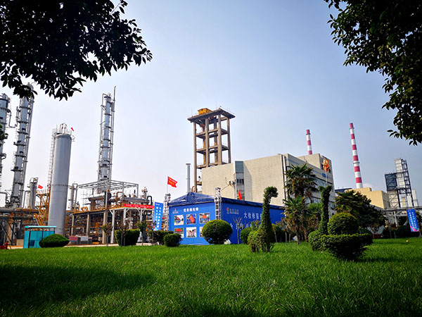 1696924068960008.jpeg IMG_20231010_114538  600.jpg