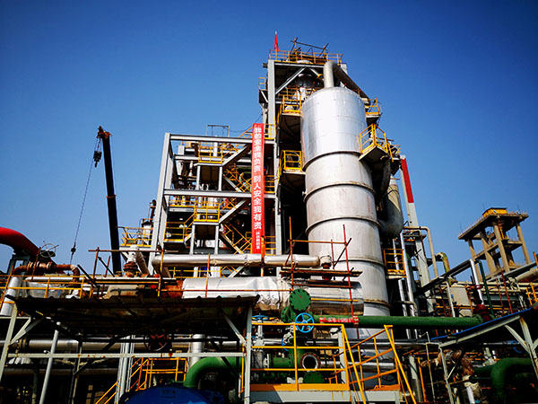 1696924226397393.jpeg IMG_20231010_141412   600.jpg