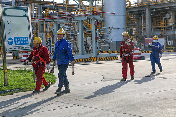 1697760219732488.jpeg IMG_1238    副圖  600.jpg