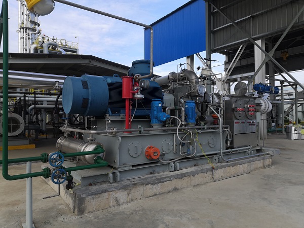 1697850105474021.jpeg 微信圖片_20231021085829.jpg