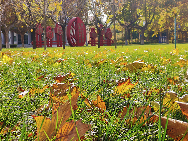 1700790891541155.jpeg 渭化初冬2 .jpg