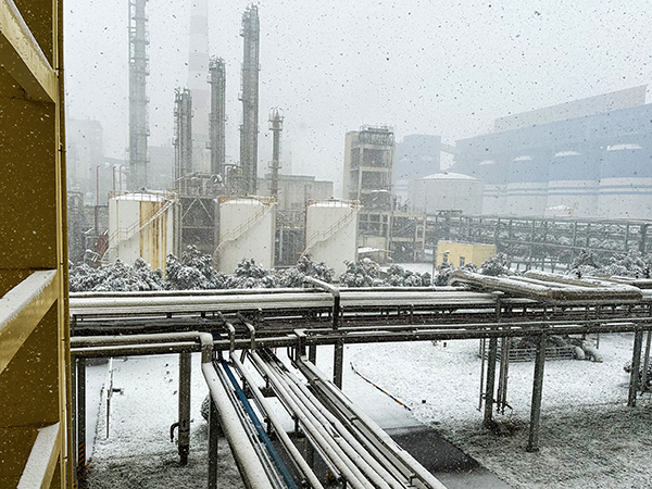 1705372259489514.jpeg 4adca207789222a175f34ed0d28f41b   600.jpg