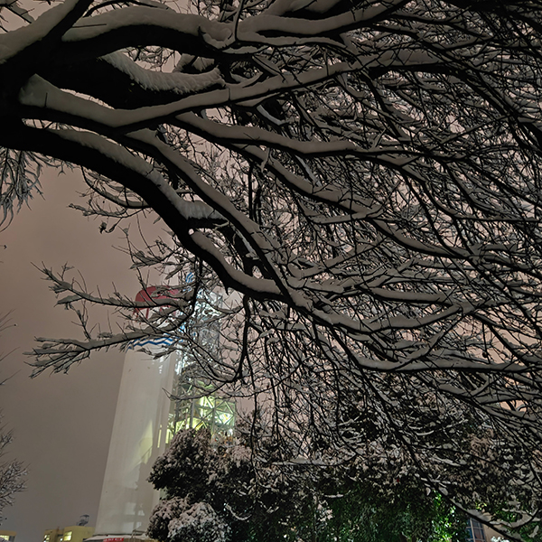 1705385851562847.jpeg 微信圖片_20240116084902   600.jpg