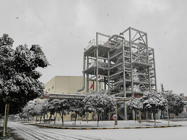 1705650404889183.jpeg 3 (3)  6001.jpg