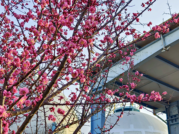 1710139480930593.jpeg 3   600.jpg