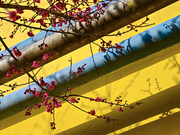 1710139540813491.jpeg 8   600.jpg