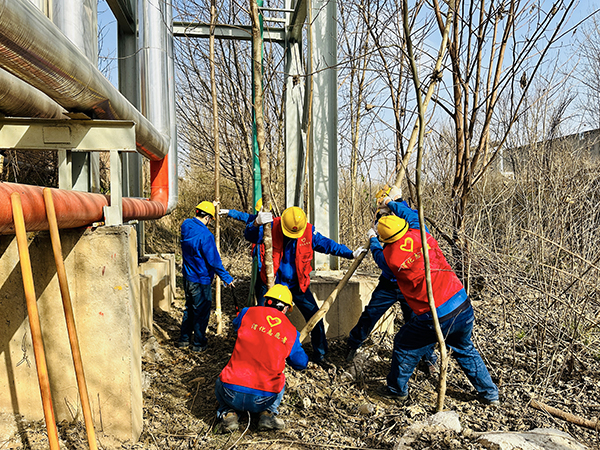 1711002974785411.jpeg 3月20日下午,物料車間黨支部開展了“清除雜草保安全 志愿服務(wù)顯擔(dān)當(dāng)”主題活動,黨員及青年志愿者清理影響管線安全的枯樹枝   600.jpg