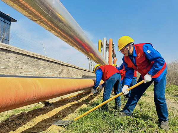 1711002988432824.jpeg 3月20日下午,物料車間黨支部開展了“清除雜草保安全 志愿服務(wù)顯擔(dān)當(dāng)”主題活動,黨員及青年志愿者清理管線底部雜草   600.jpg