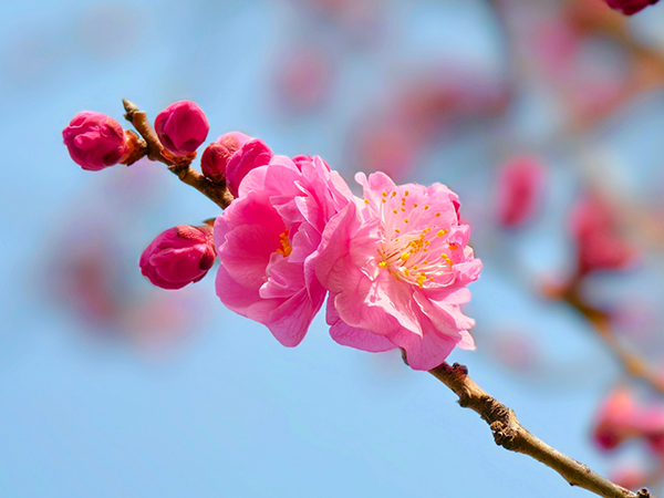 1711015183698783.jpeg 1  600.jpg