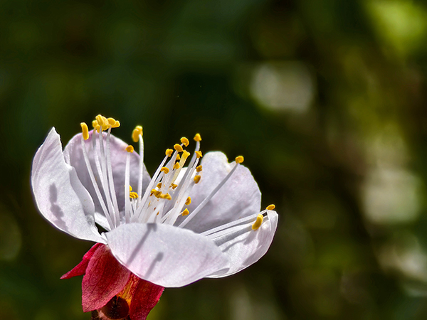 1711015197782282.jpeg 2  600.jpg