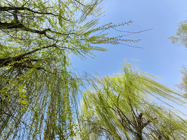 1711015211361921.jpeg 3  600.jpg