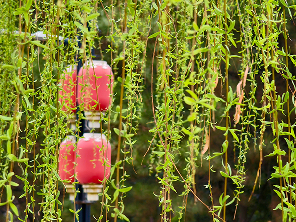 1711015222764099.jpeg 4  600.jpg