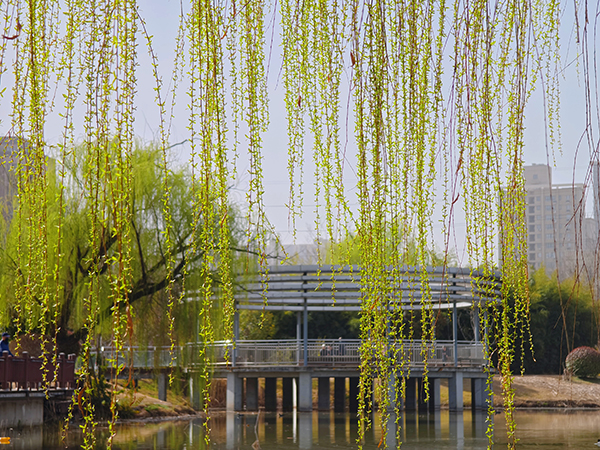 1711015231526667.jpeg 5   600.jpg