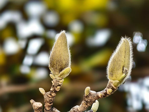 1711015241237576.jpeg 6   600.jpg