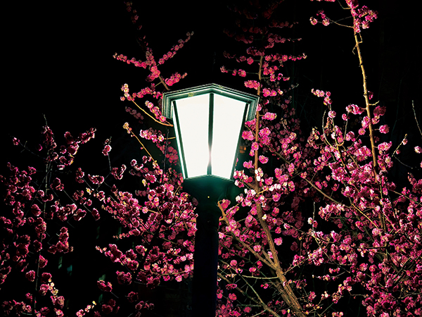 1711015254715606.jpeg 7  600.jpg