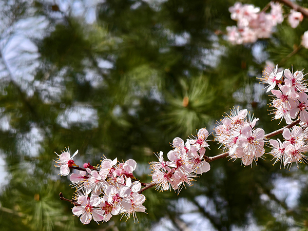 1711015267309727.jpeg 8   600.jpg