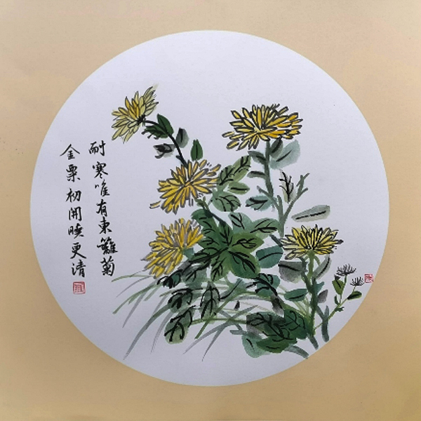 1711595439625163.jpeg 菊   600.jpg