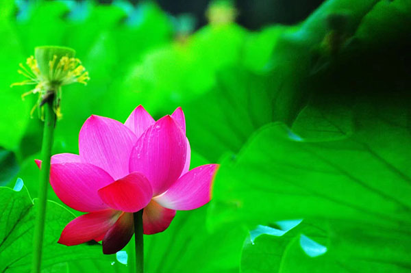 1717545212429672.jpeg 1.jpg