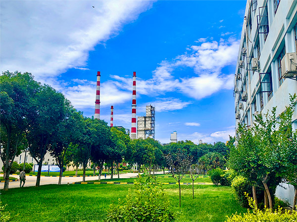 1719303657502852.jpeg 森林式工廠   600.jpg