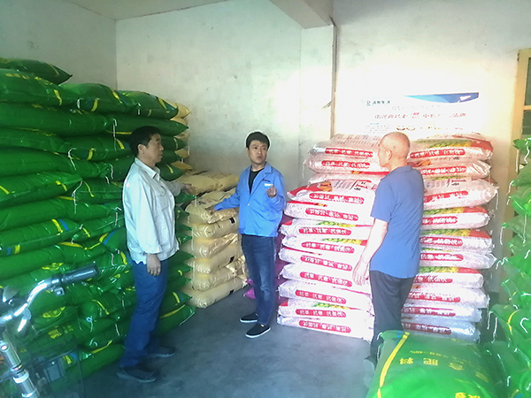 1724122215626208.jpeg 2024年8月市場運銷部彬州分部銷售人員在新民鎮調研渭河牌尿素市場.jpg