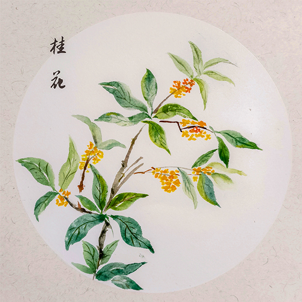 1730099122999413.jpeg 093aadd97c96f3267cd812a613aef2f    600.jpg