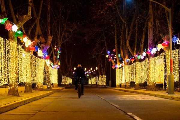 1738282932335039.jpeg 上班路上經過生活區(qū)亮化彩燈處抓拍.jpg