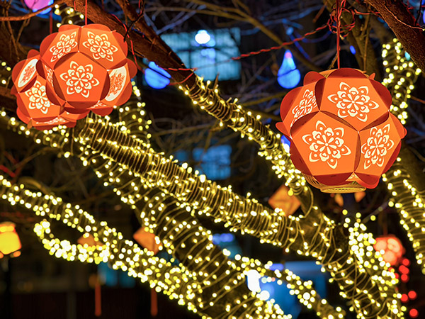 1739340993460594.jpeg 華燈璀璨    600.jpg