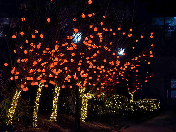 1739341026908884.jpeg 小區(qū)彩燈    600.jpg