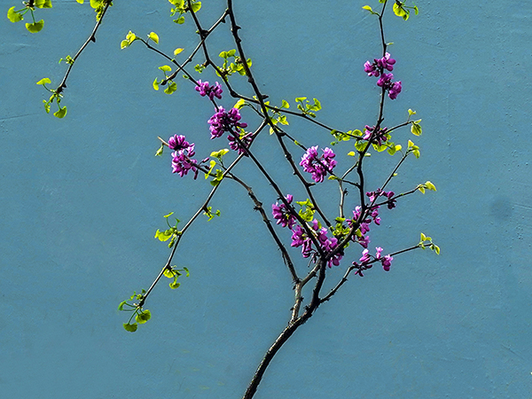 071744022057948446.jpg 3  副圖.jpg