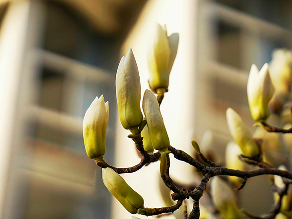 071744022102121909.jpg 8  副圖.jpg