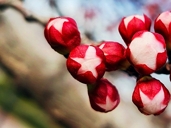 071744022119653521.jpg 7  副圖.jpg