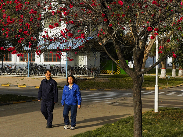 071744022137279831.jpg 5  副圖.jpg