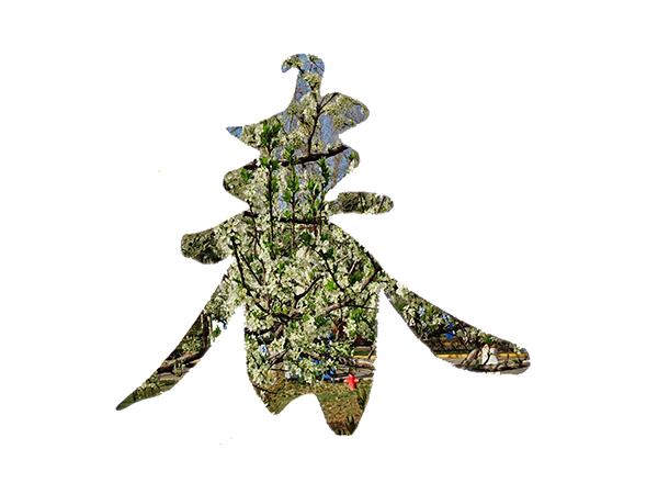 071744022166141707.jpg 9  副圖.jpg